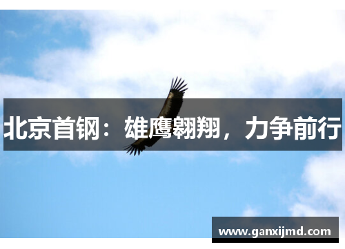 北京首钢：雄鹰翱翔，力争前行