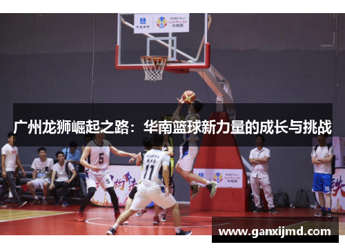 广州龙狮崛起之路：华南篮球新力量的成长与挑战